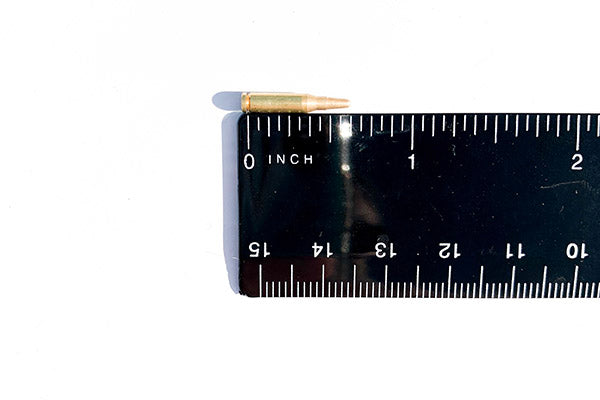 AR Dummy Rounds (15)